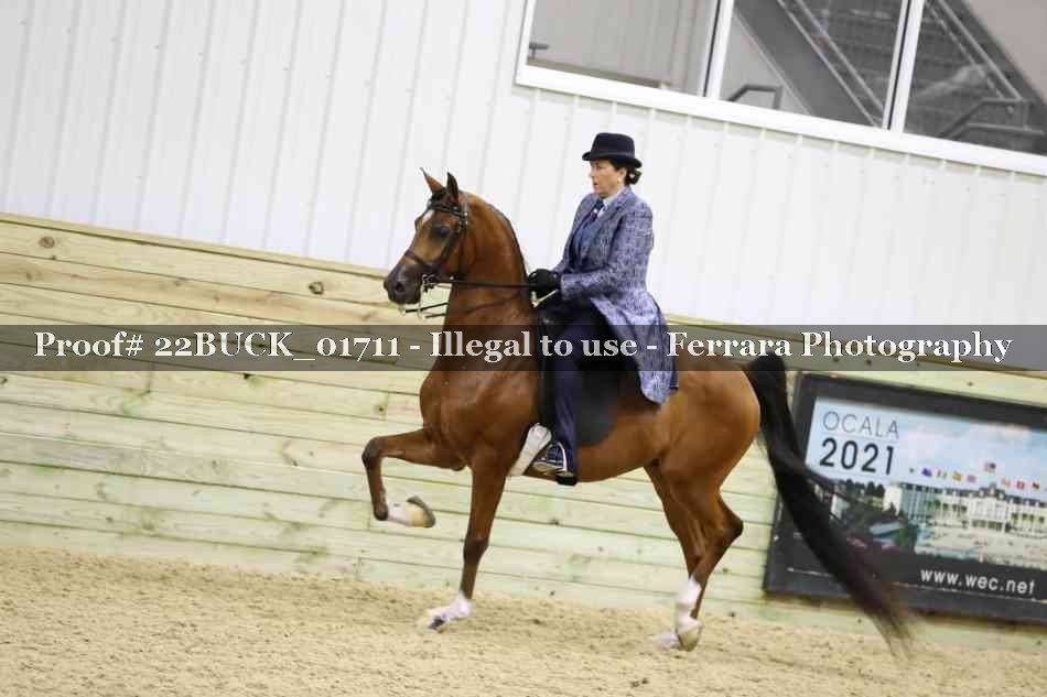 Proof 22BUCK_01711