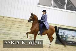 22BUCK_01711 proof