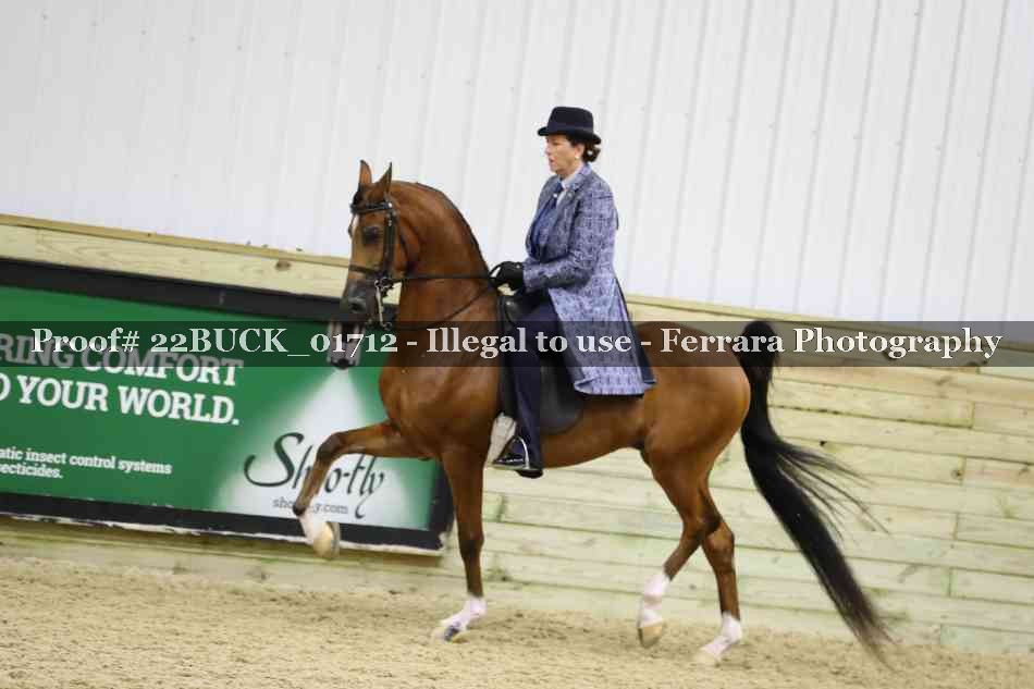 Proof 22BUCK_01712