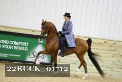 22BUCK_01712 proof