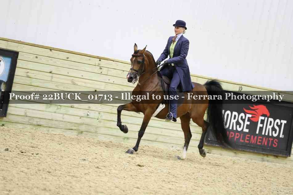 Proof 22BUCK_01713