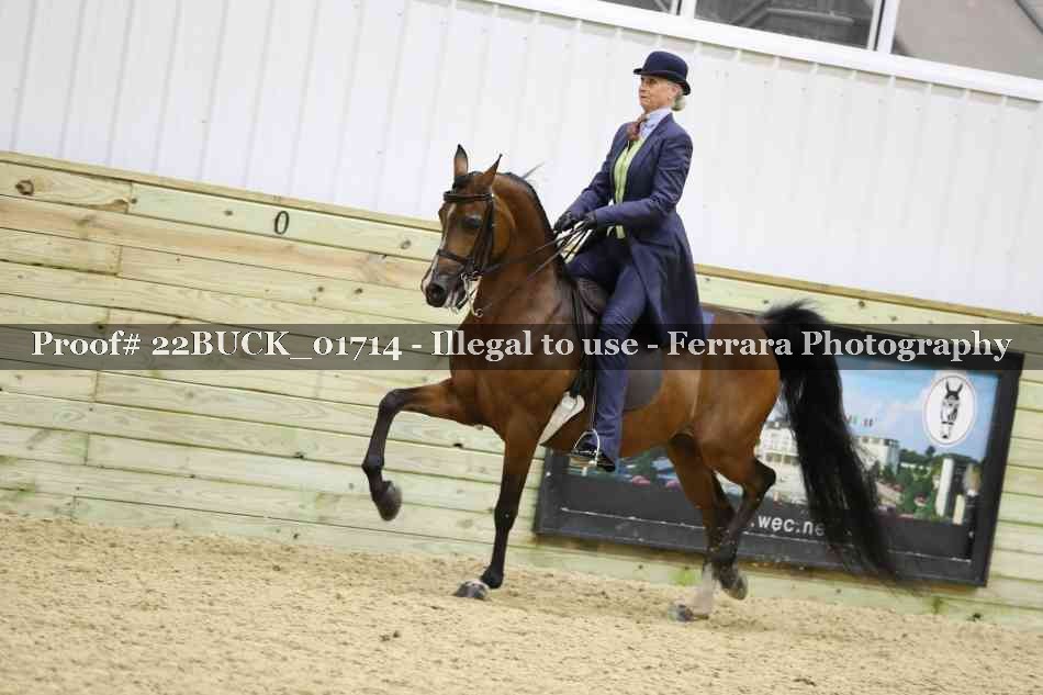 Proof 22BUCK_01714
