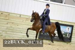 22BUCK_01714 proof
