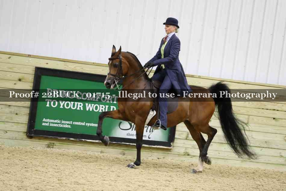 Proof 22BUCK_01715