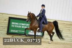22BUCK_01715 proof