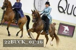 22BUCK_01716 proof