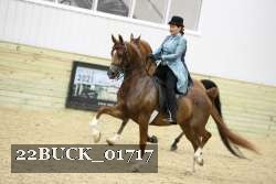 22BUCK_01717 proof