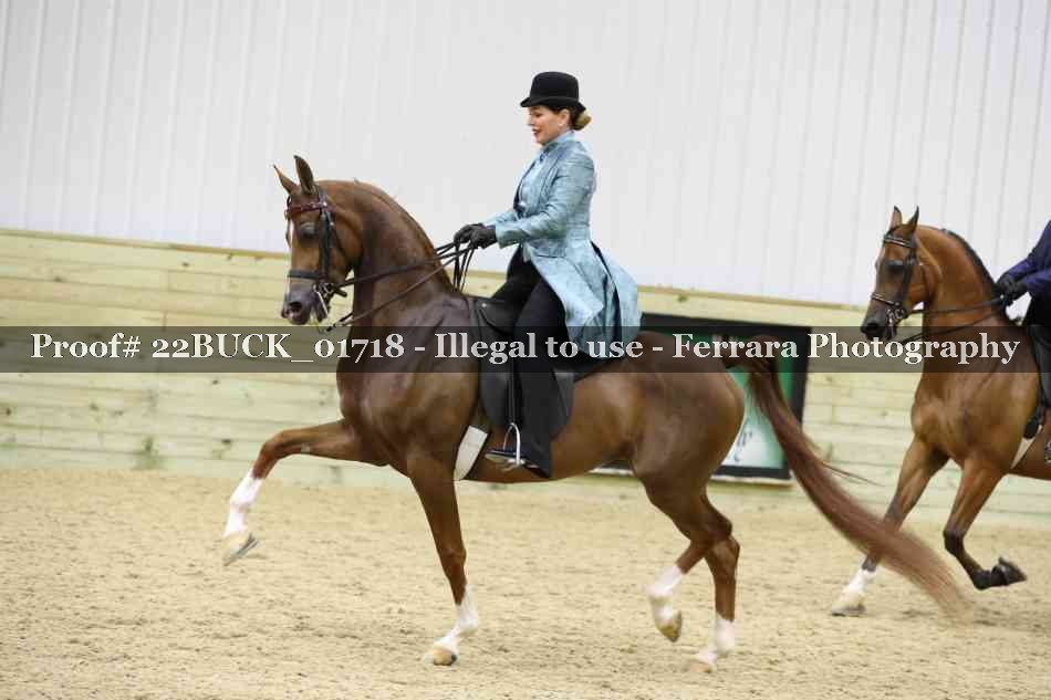 Proof 22BUCK_01718