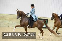 22BUCK_01718 proof