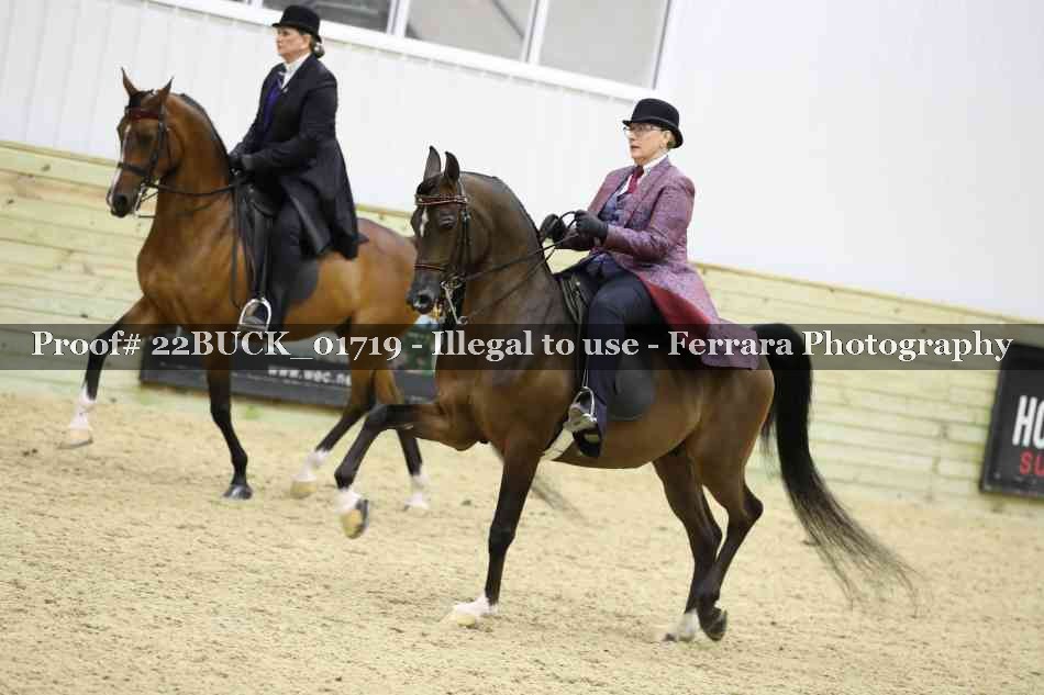 Proof 22BUCK_01719