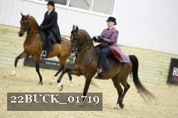 22BUCK_01719 proof