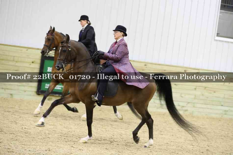 Proof 22BUCK_01720