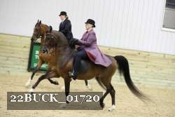 22BUCK_01720 proof