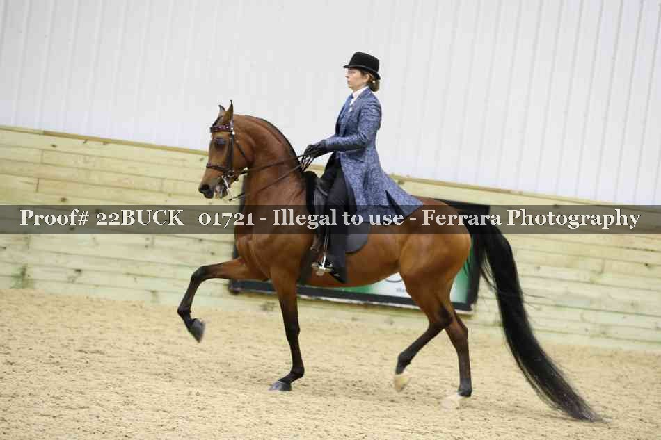Proof 22BUCK_01721