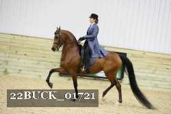 22BUCK_01721 proof