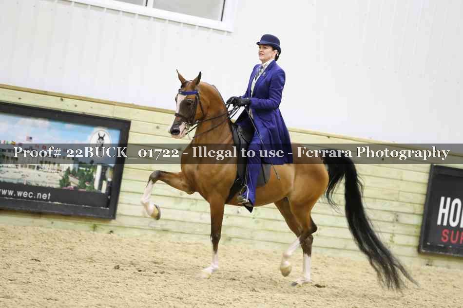 Proof 22BUCK_01722