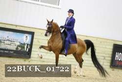 22BUCK_01722 proof