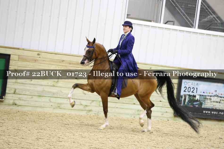 Proof 22BUCK_01723