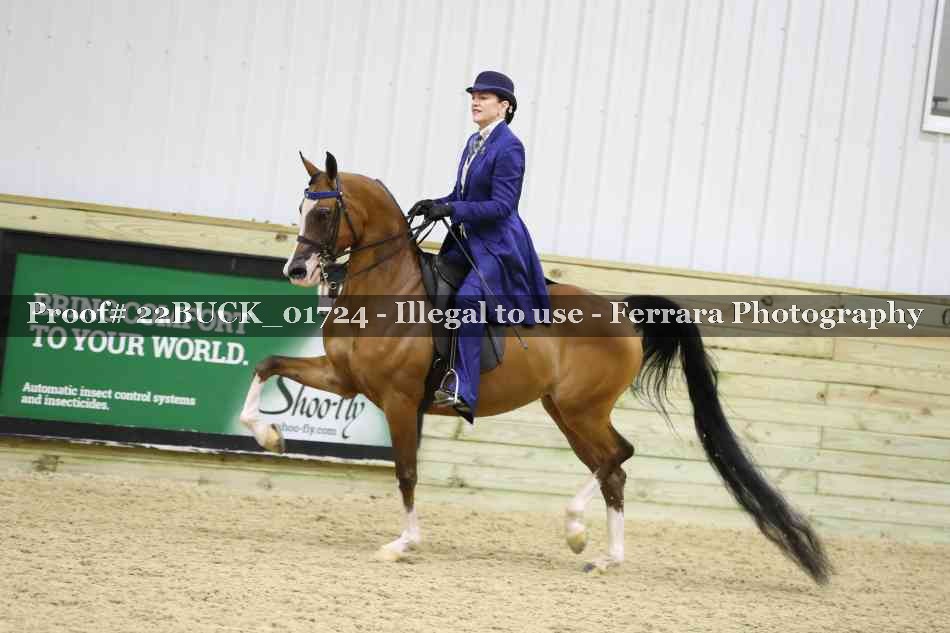 Proof 22BUCK_01724