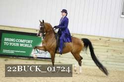 22BUCK_01724 proof