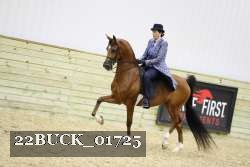 22BUCK_01725 proof