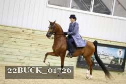 22BUCK_01726 proof