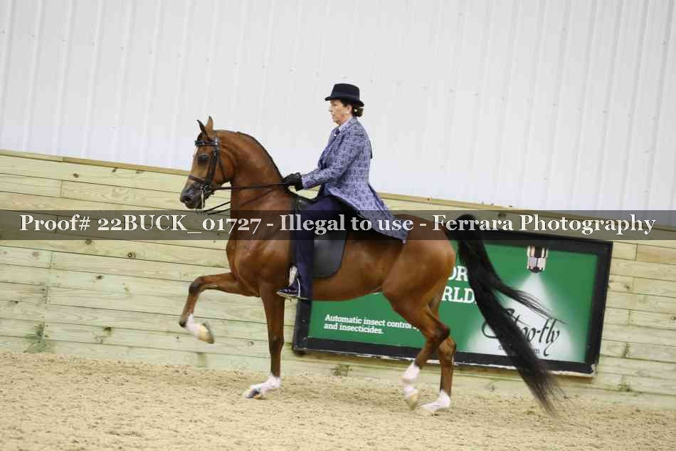 Proof 22BUCK_01727