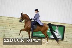 22BUCK_01727 proof