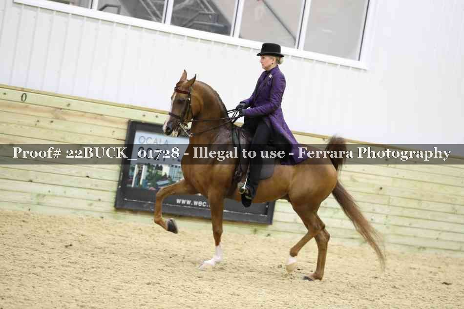 Proof 22BUCK_01728
