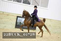 22BUCK_01728 proof