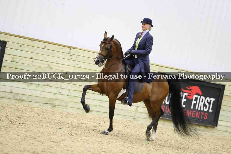 Proof 22BUCK_01729