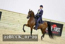 22BUCK_01729 proof