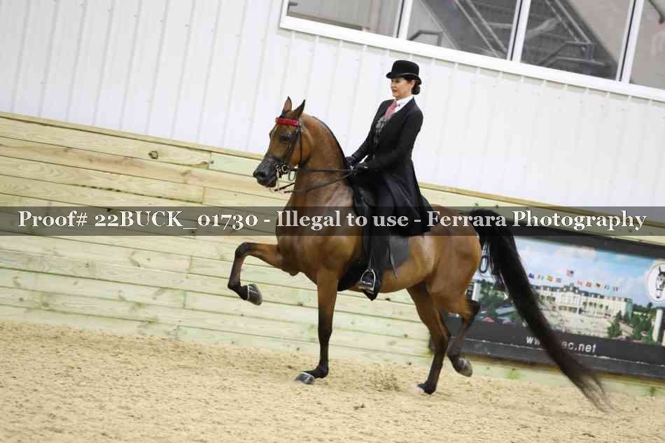 Proof 22BUCK_01730