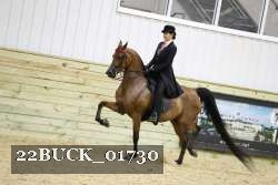 22BUCK_01730 proof