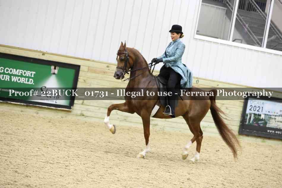 Proof 22BUCK_01731