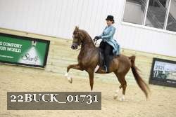 22BUCK_01731 proof