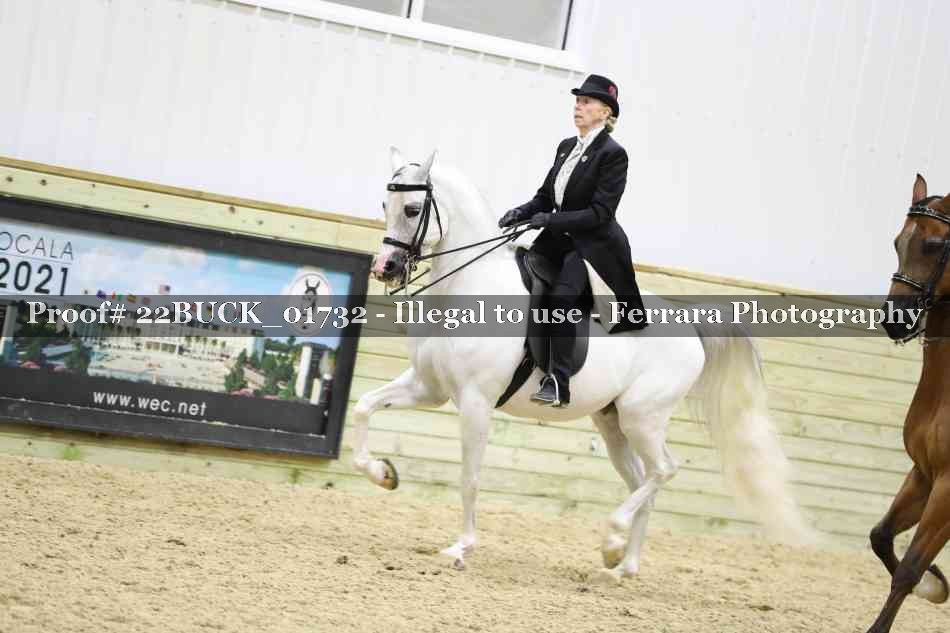 Proof 22BUCK_01732