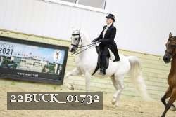 22BUCK_01732 proof