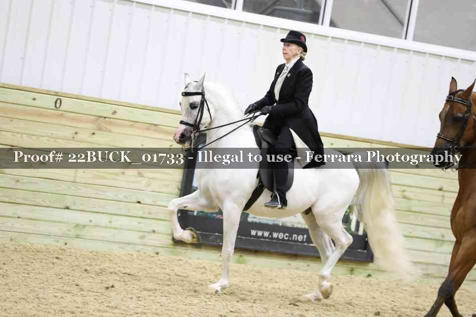 Proof 22BUCK_01733