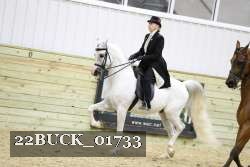 22BUCK_01733 proof