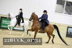 22BUCK_01734 proof