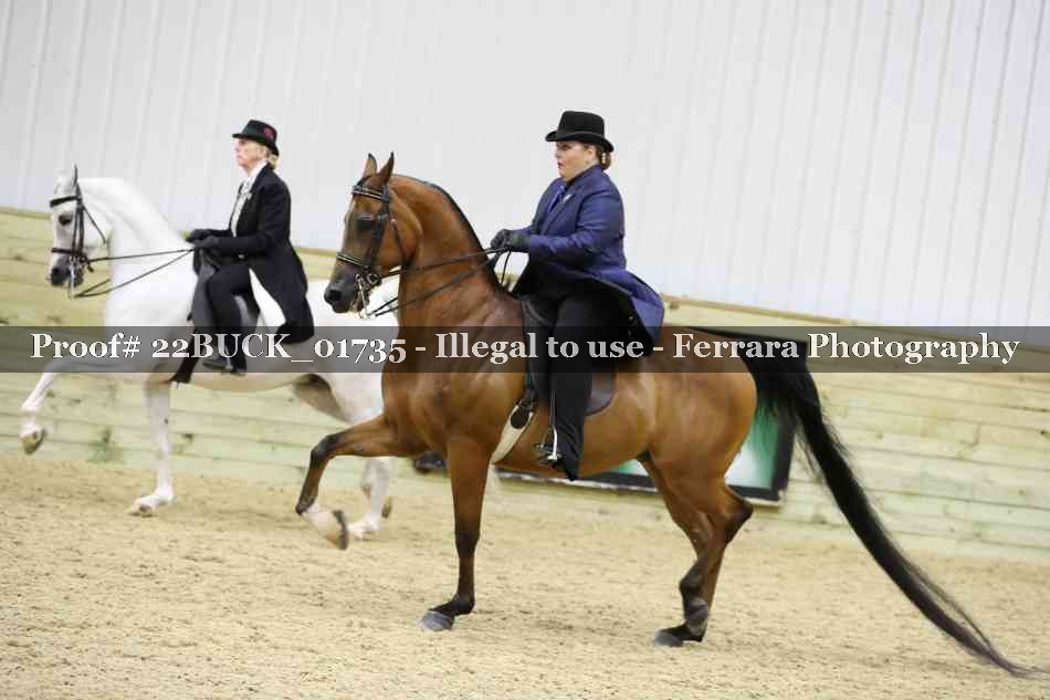 Proof 22BUCK_01735