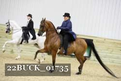22BUCK_01735 proof