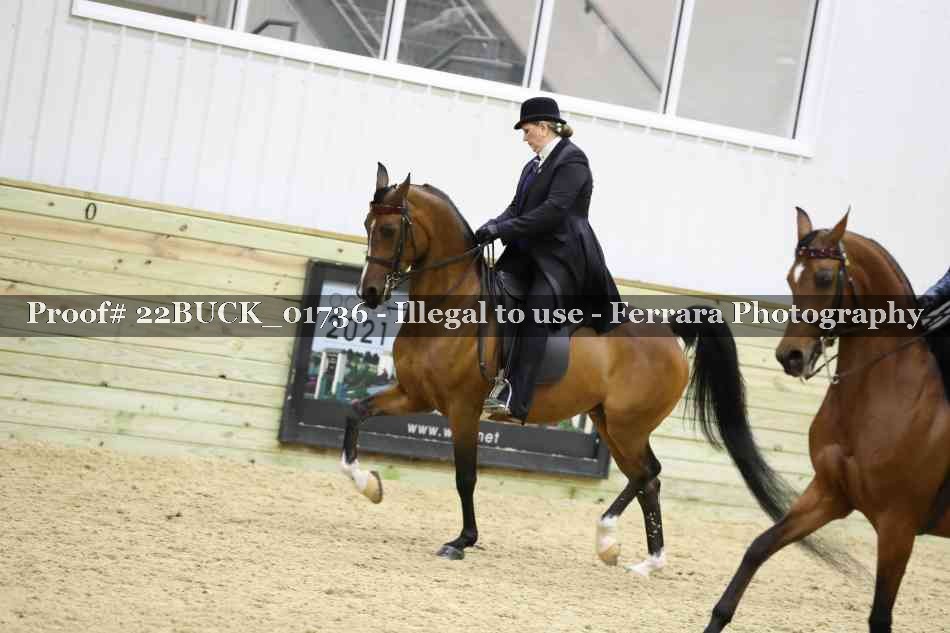Proof 22BUCK_01736