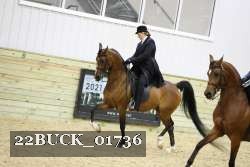 22BUCK_01736 proof