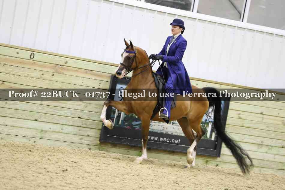 Proof 22BUCK_01737
