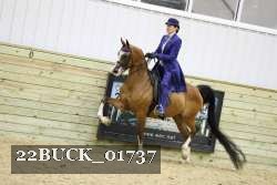 22BUCK_01737 proof