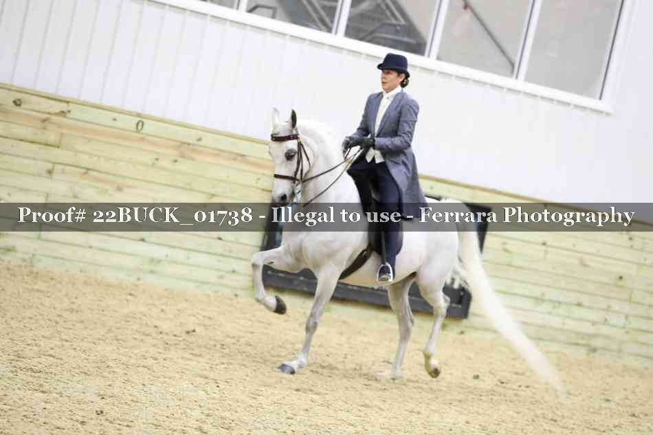 Proof 22BUCK_01738