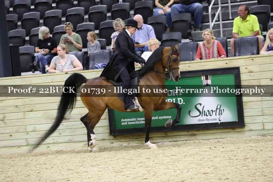 Proof 22BUCK_01739