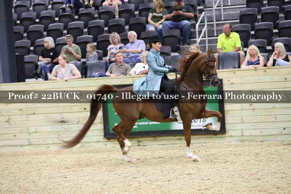 Proof 22BUCK_01740